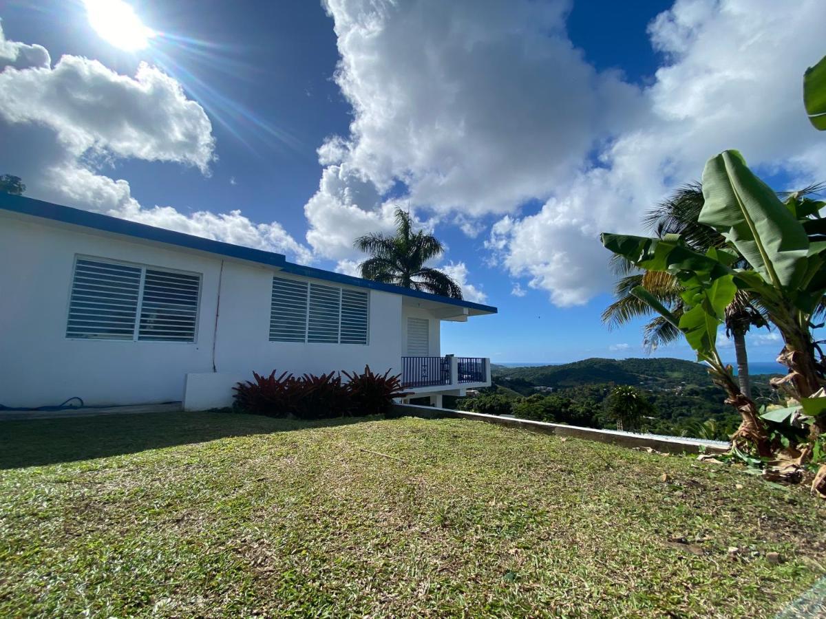 Willa Million Dollar View In Puerto Rico Luquillo Zewnętrze zdjęcie