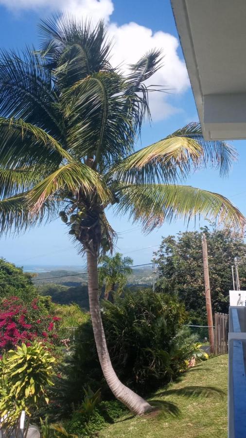 Willa Million Dollar View In Puerto Rico Luquillo Zewnętrze zdjęcie
