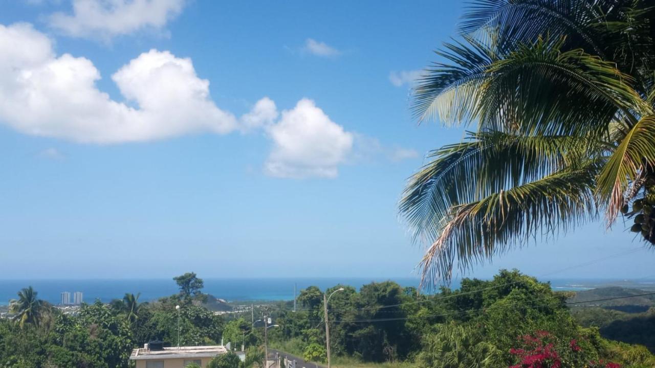 Willa Million Dollar View In Puerto Rico Luquillo Zewnętrze zdjęcie